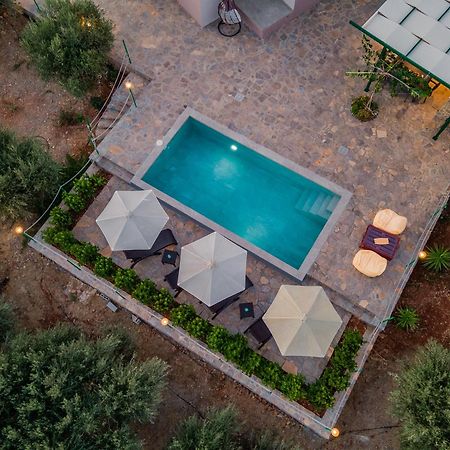 Villa Aktis With Freshwater Pool And Sea View 锡西 外观 照片