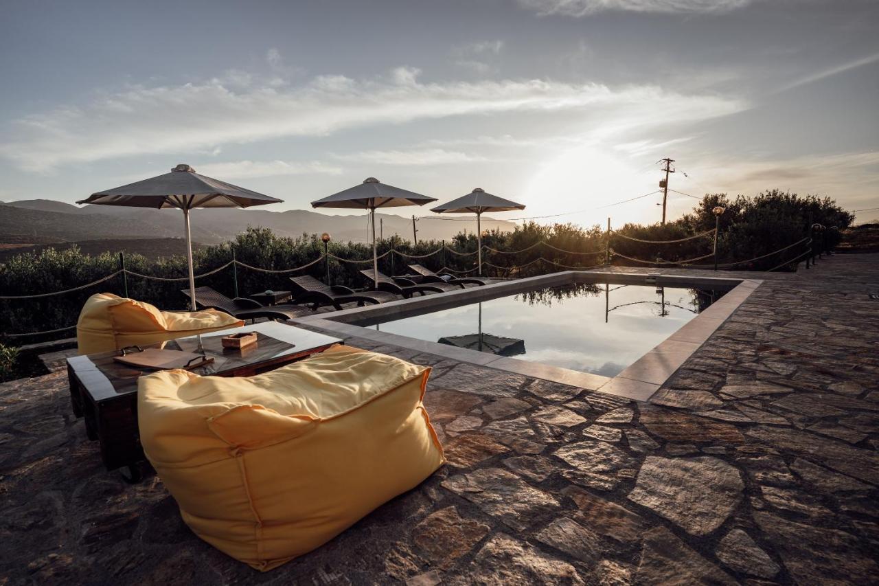 Villa Aktis With Freshwater Pool And Sea View 锡西 外观 照片